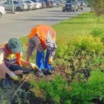 Барнаул расцветает: на городских клумбах продолжают высаживать однолетники
