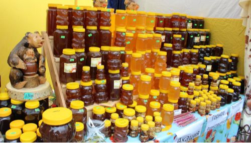Ярмарку меда отменили в Бийске из-за массовой гибели пчел