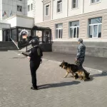 В судах Республики Алтай прошла эвакуация из-за сообщений о минировании