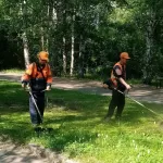 Уборка пыли, покос травы: дорожники наводят чистоту на улицах Барнаула