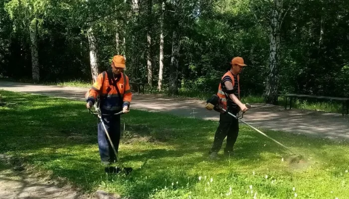 Уборка пыли, покос травы: дорожники наводят чистоту на улицах Барнаула
