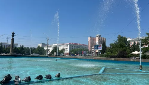 Аномальная жара в Алтайском крае начнет спадать: прогноз погоды