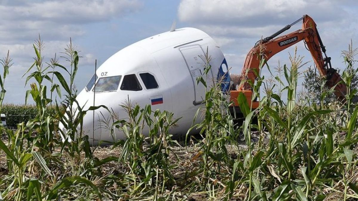 Сел на кукурузное поле. На кукурузном поле Airbus a321. Уральские авиалинии кукурузное поле. А321 Уральские авиалинии кукурузное поле. А321 Уральские авиалинии кукурузное поле блогер.