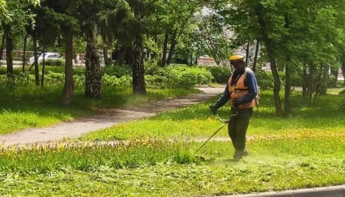 В Барнауле стригут газоны на общественных территориях: список