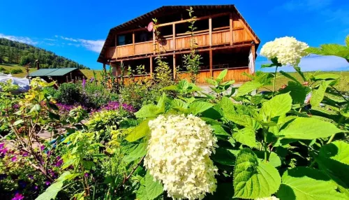 Просторный дом с двумя террасами выставили на продажу в Республике Алтай. Фото
