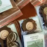 Бойцы СВО получили необычные талисманы из Республики Алтай