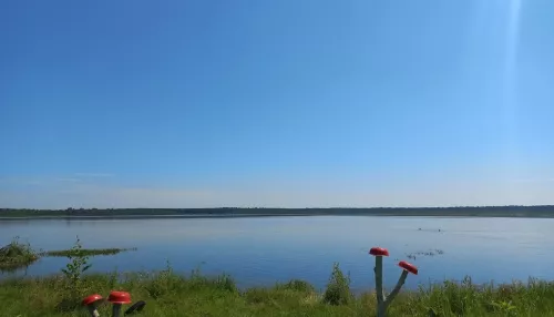 Стало плохо в воде: молодой мужчина умер во время купания в озере в Алтайском крае