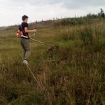Две плантации конопли уничтожили в пригороде Барнаула