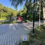 Территорию барнаульского парка Юбилейный обработали от комаров