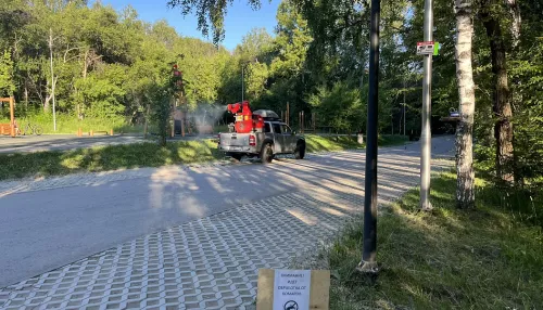 Территорию барнаульского парка Юбилейный обработали от комаров
