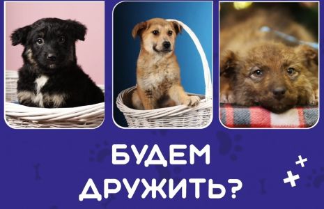 Билет домой