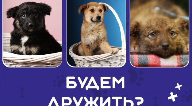 Билет домой