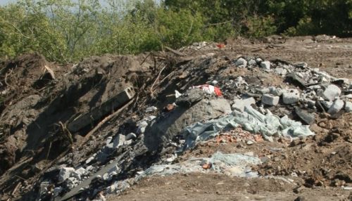 Нет денег на забор: кто в ответе за свалку мусора в поселке Восточном?