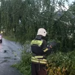 Разрушительный торнадо сорвал крыши домов и повалил деревья на Урале. Фото и видео