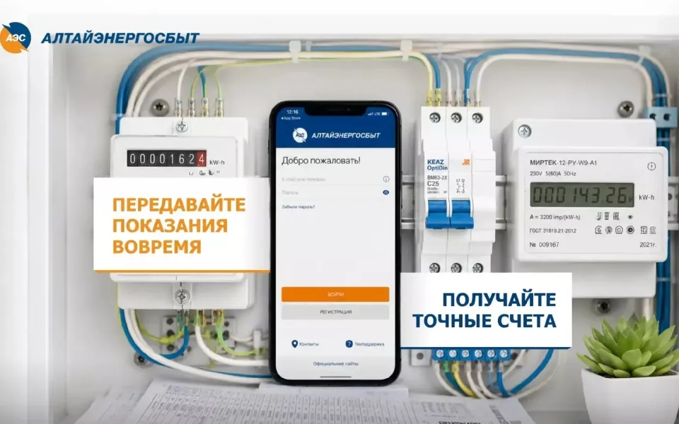 Алтайэнергосбыт: три простых способа передать показания счётчика электроэнергии