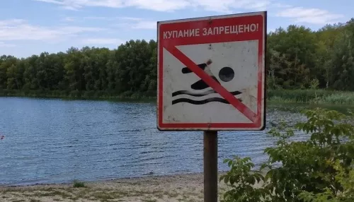 20 человек, в том числе восемь детей, утонули с начала купального сезона в Алтайском