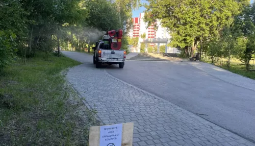 В Барнауле продолжают обработку территорий от комаров и клещей