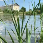 Мужчина сломал позвоночник, неудачно нырнув в Бийске