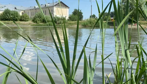 Мужчина сломал позвоночник, неудачно нырнув в Бийске