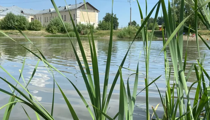 Мужчина сломал позвоночник, неудачно нырнув в Бийске