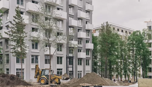 Дома под соснами. Девелопер рассказал, как построил ЖК на тысячах свай в Барнауле