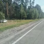 Водитель легковушки разбился насмерть, въехав в дерево на новосибирской трассе
