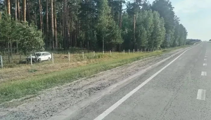 Водитель легковушки разбился насмерть, въехав в дерево на новосибирской трассе