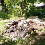 Из парка в свалку: барнаулец пожаловался на замусоренную Аллею ветеранов