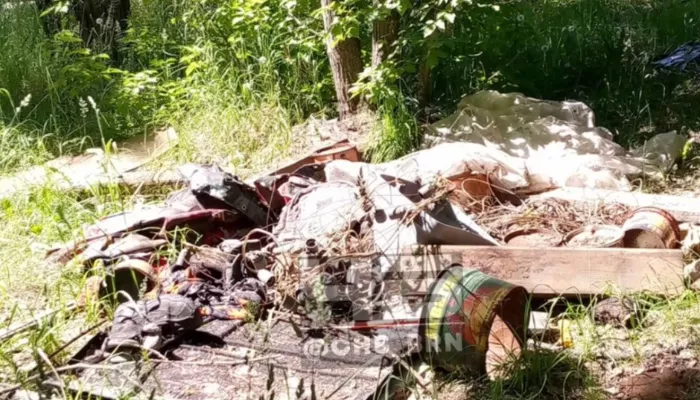 Из парка в свалку: барнаулец пожаловался на замусоренную Аллею ветеранов