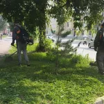 Сезонный покос травы в Барнауле: где работают газонокосилки. Фото