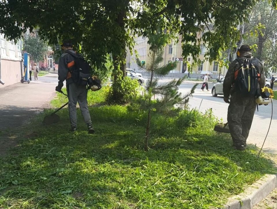 Покос травы в Барнауле