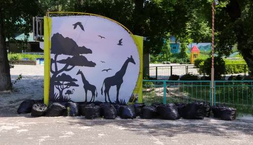 Парк без посетителей: что происходит в закрытом в разгар лета Солнечном ветре. Фото