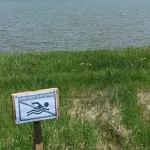 Две женщины утонули в Алтайском крае за день