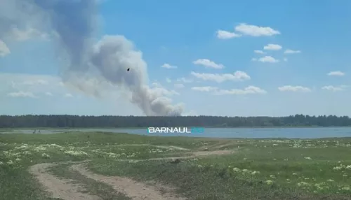Крупный лесной пожар разгорелся в Волчихинском районе Алтайского края