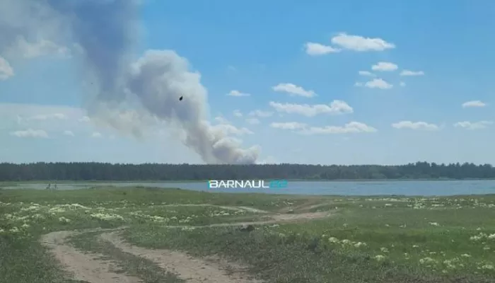 Крупный лесной пожар разгорелся в Волчихинском районе Алтайского края