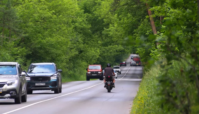 Зеленый купол: как выглядит дорога сквозь лесную арку в Барнауле. Фото