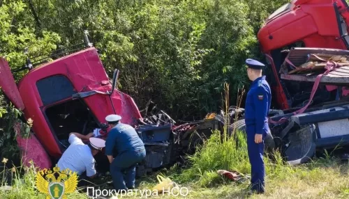 Три человека погибли в аварии с четырьмя грузовиками на новосибирской трассе