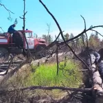 Крупный лесной пожар потушили в Волчихинском районе
