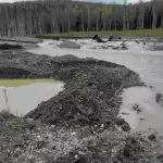 Золотодобытчиков уличили в загрязнении реки Сии в Республике Алтай