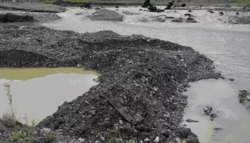 Золотодобытчиков уличили в загрязнении реки Сии в Республике Алтай