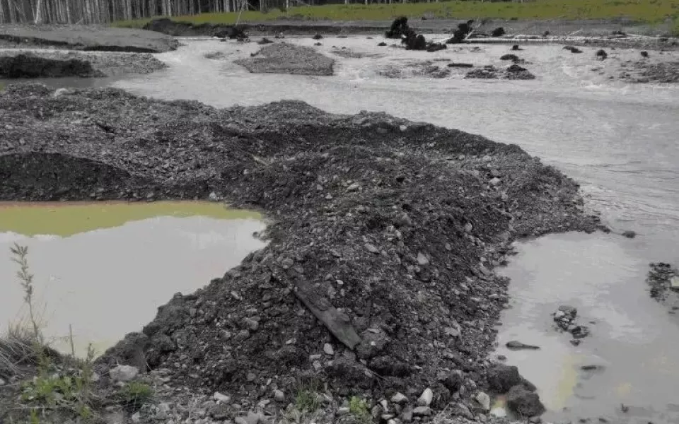 С золотодобытчиков взыскали 280 тысяч рублей за вред реке в Республике Алтай