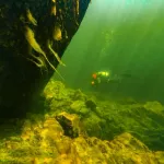 Удивительный подводный мир Телецкого озера засняли в Республике Алтай. Фото