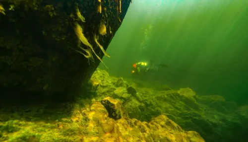 Удивительный подводный мир Телецкого озера засняли в Республике Алтай. Фото