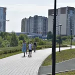 550 деревьев, газон, освещение и дорожки: сквер на Шумакова в Барнауле преображается