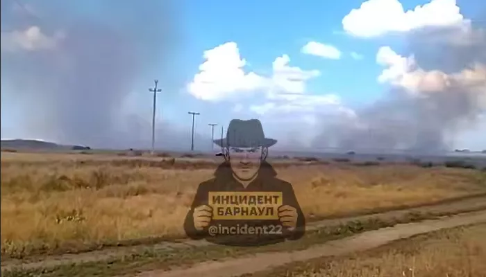 Крупный травяной пожар потушили в Родинском районе Алтайского края