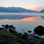 Птенцовый период: в Алтайском заповеднике подвели итоги июня. Фото