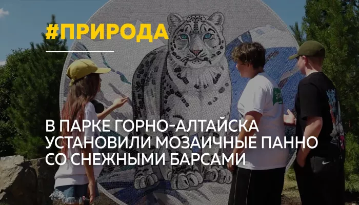 В Горно-Алтайске открыли арт-объекты с изображением снежных барсов