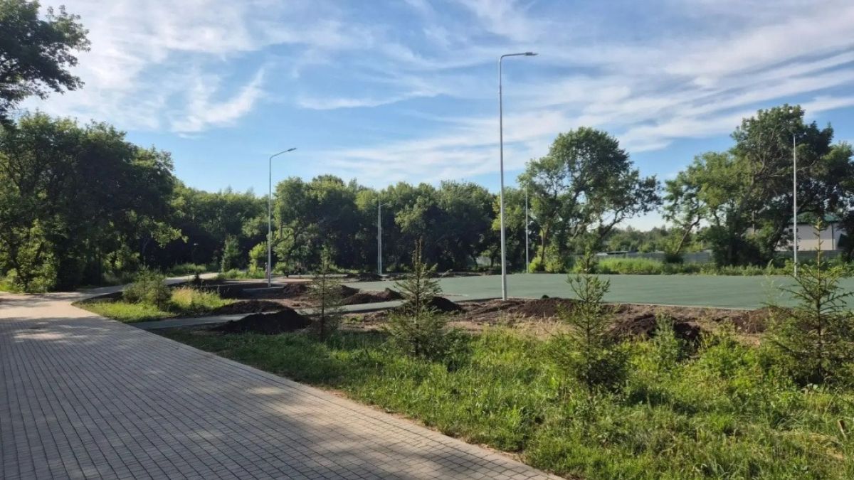 Зеленая зона в границах улиц Ленинградской, Энтузиастов и Антона Петрова 