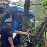 Четыре молодых человека погибли в лобовом ДТП с фурой на трассе Сибирь. Фото