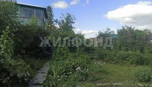Двухэтажную дачу с ухоженным садом продают в Барнауле меньше чем за миллион. Фото